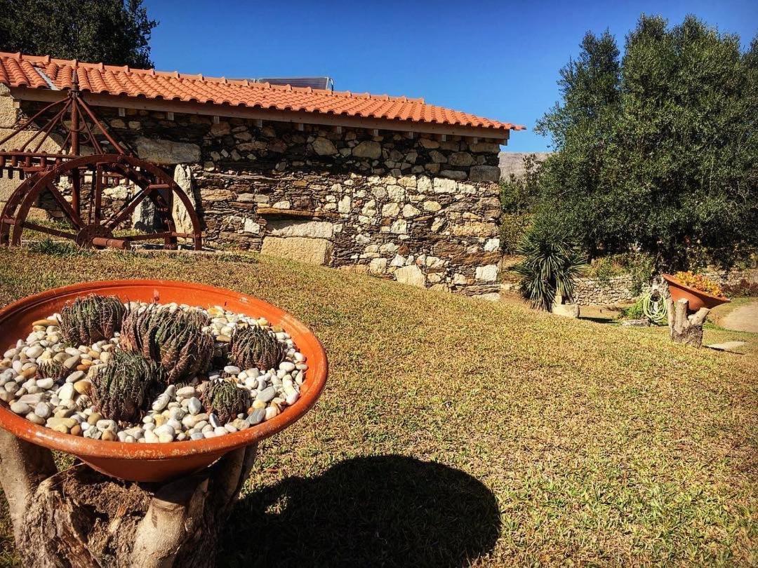 Quinta Do Fortunato Viana do Castelo Exterior photo